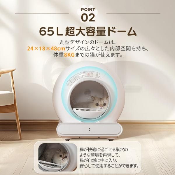 おしゃれ自動 清掃