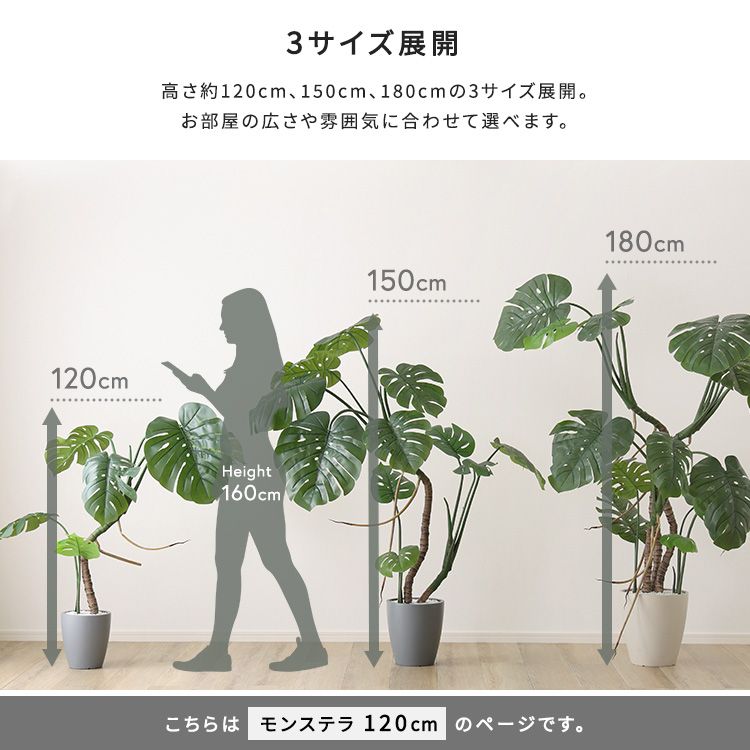 Sサイズ 2801