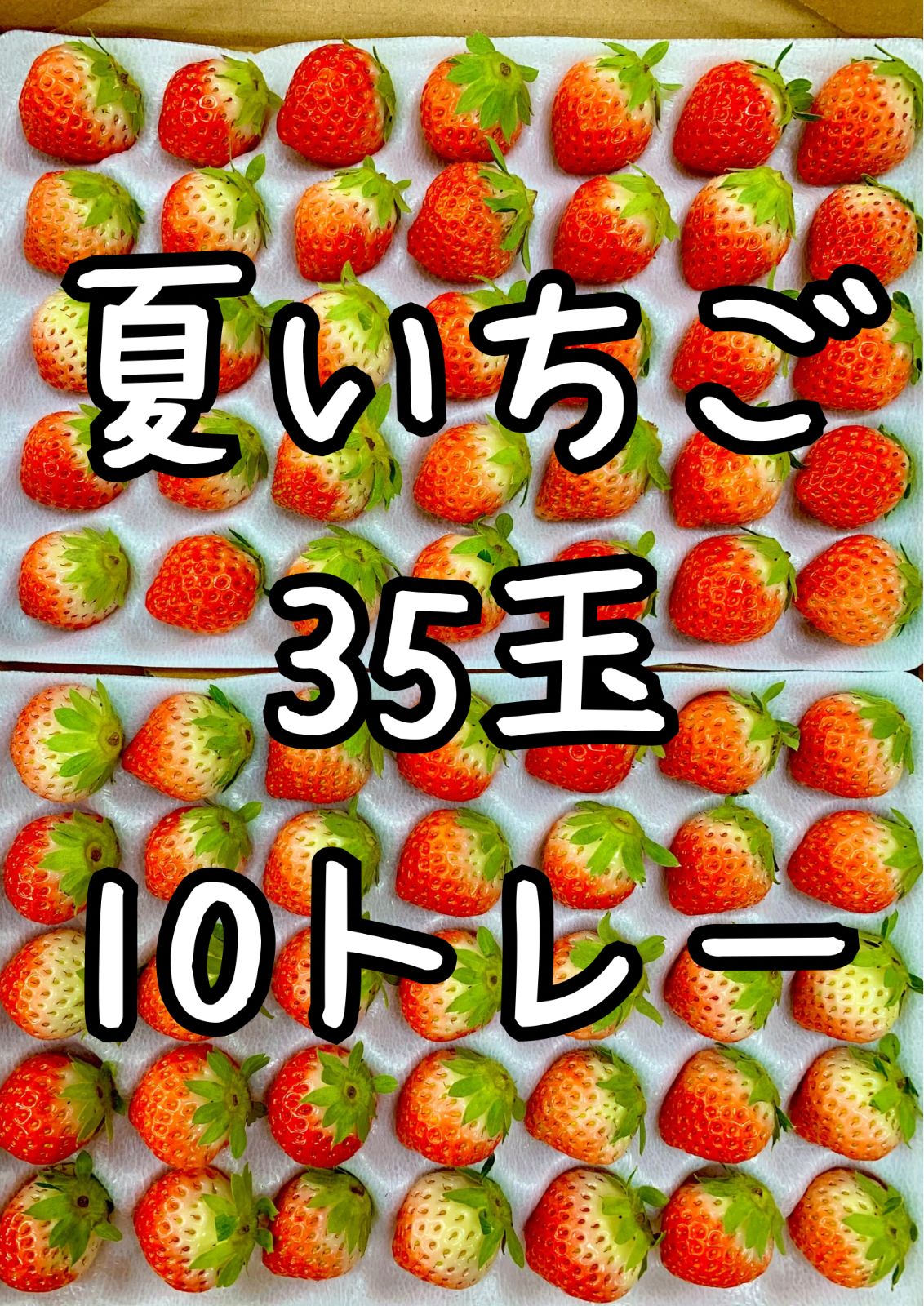 夜に春秋を読む 夜读春秋 関羽（関二爷）、中国画、水墨画、三国志の