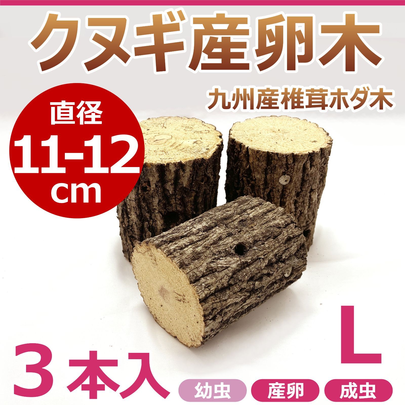 クヌギ産卵木 3本入 直径約11～12㎝ Lサイズ 九州産 椎茸 ホダ