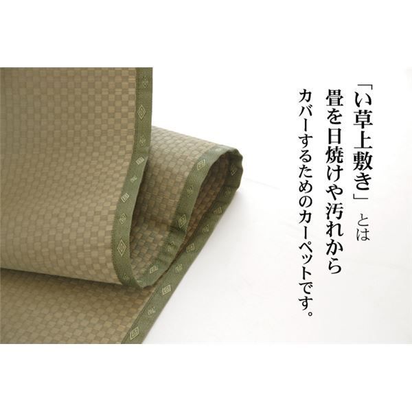 い草 上敷き/ラグマット 日本製 抗菌防臭 耐久性抜群 熊本県八代産イ草使用 〔リビング〕 い草 上敷き&frasl;ラグマット 双目織 約176×176cm 〔江戸 アジアン