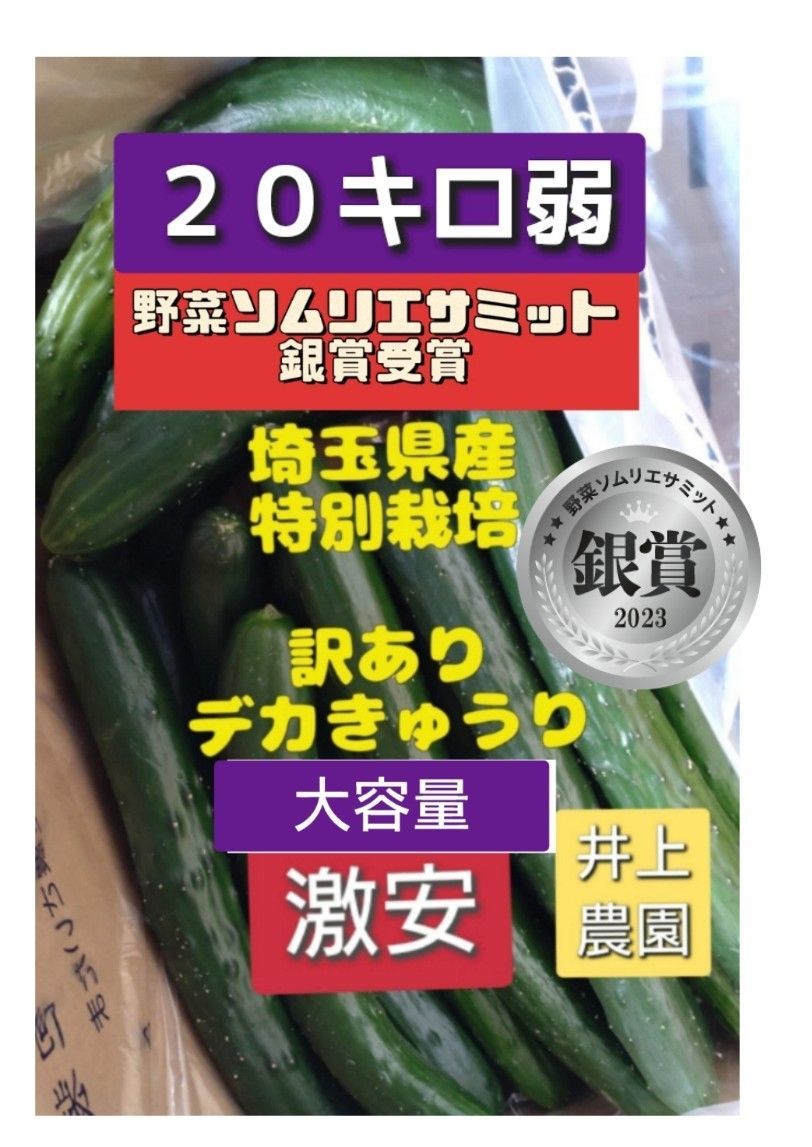 訳ありデカきゅうり20kg弱！銀賞受賞・減農薬 - メルカリ
