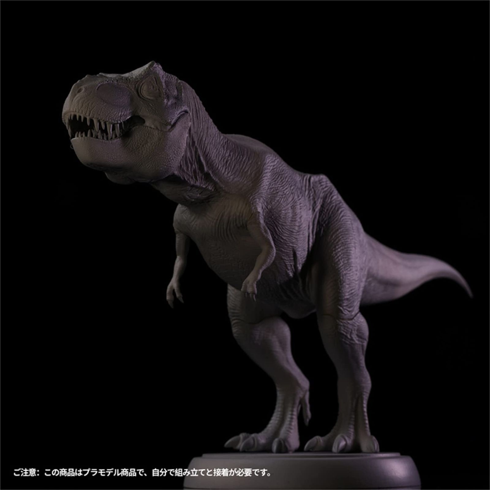 Nanmu 本心楠改 Alpha ティラノサウルス Tレックス 2.0 Ｔ-REX 38cm級 ガレキ 大きい 肉食 恐竜 リアル フィギュア PVC  プラモデル おもちゃ ガレージキット 模型 プレゼント プレミアム オリジナル 未塗装 半製品