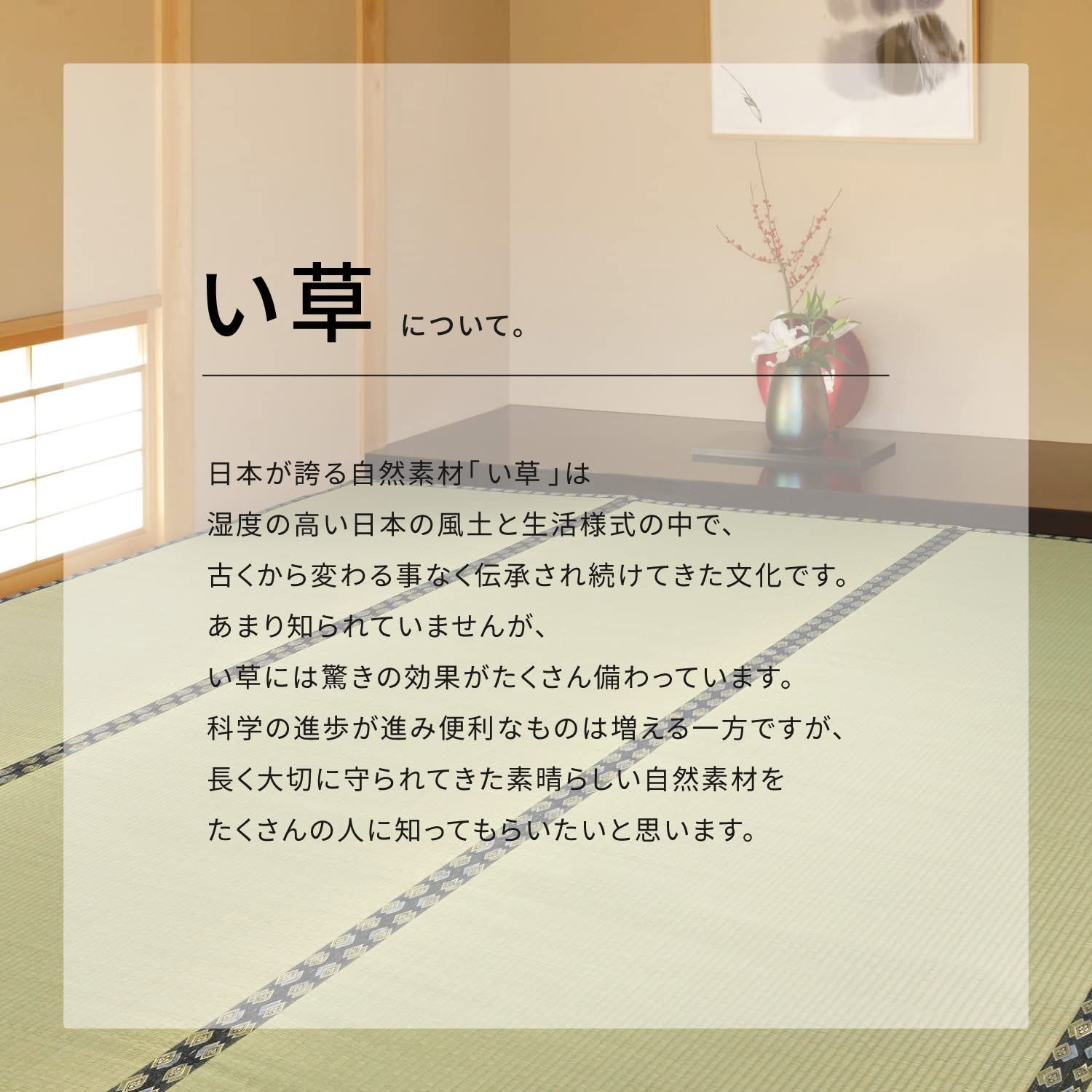 裏貼り付き