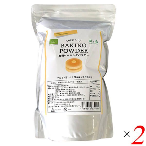 ミントン MINTON 1880年頃 トルコ石ブルーボーダー バラ絵 プレート