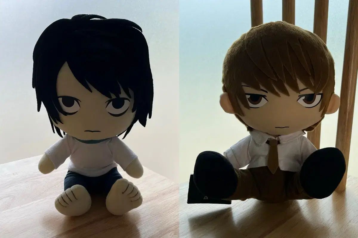 ダーマコレクション○未使用タグ付○カシミヤリブニット切替 アルパカ