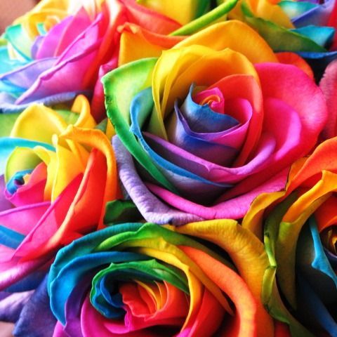 可愛いお花 デザイナーにおまかせ