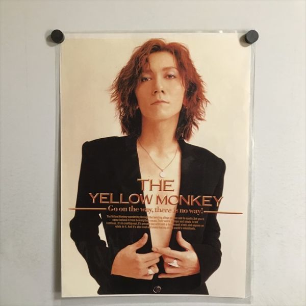 THE YELLOW MONKEY 吉井和哉 - ブルーレイ