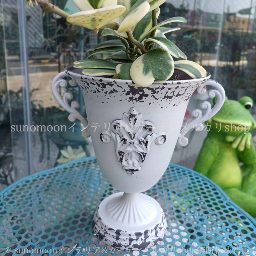 お洒落 エレガント