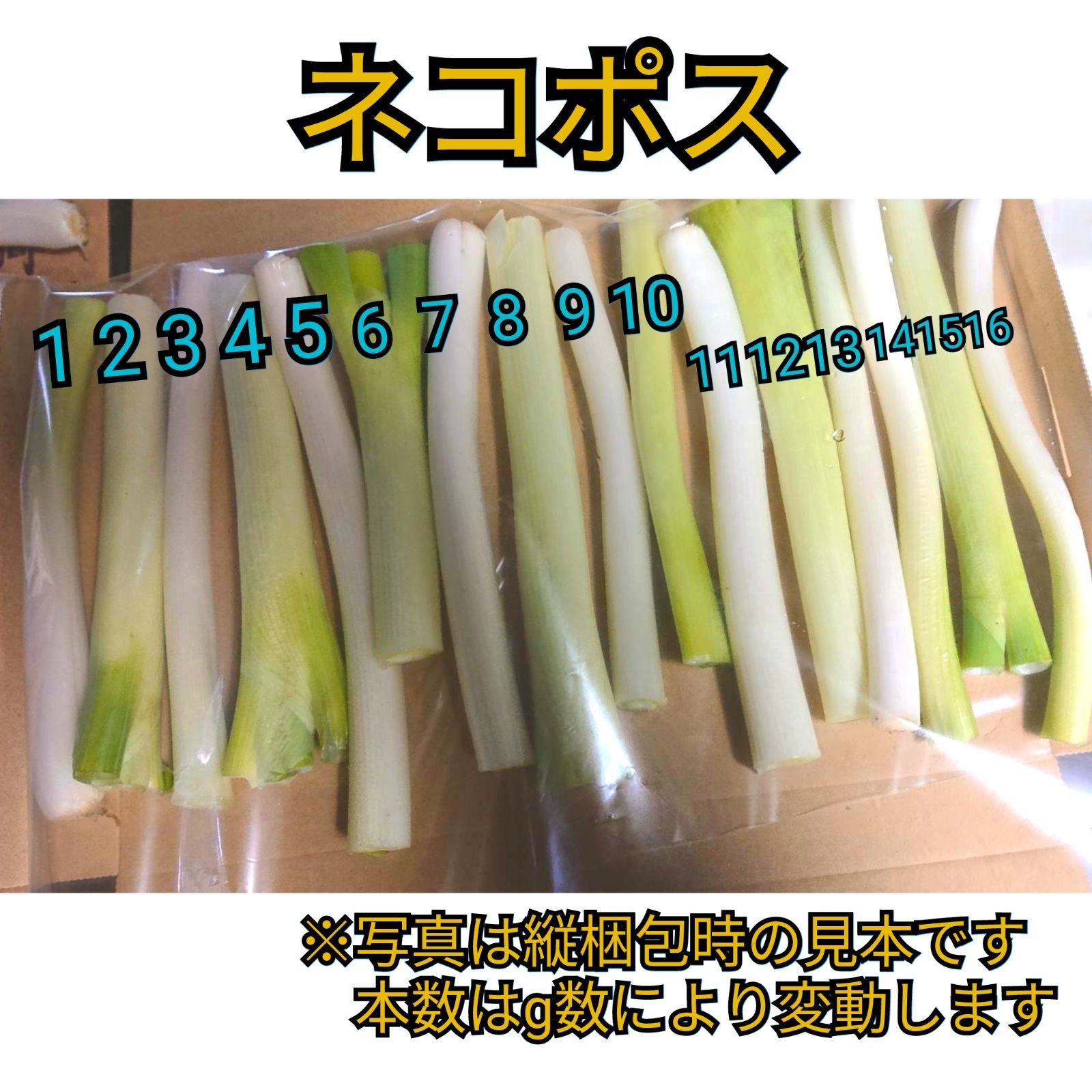 鳥取県産 白ネギ 20kg『冠雪葱』 長ネギ 新入荷 - 野菜