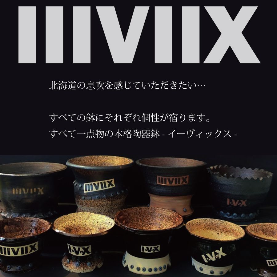 《プロトタイプ》 Mサイズ  ブラック＆ブルー 【PT-M_0509】 IIIVIIX イーヴィックス 陶器鉢 植木鉢 観葉植物 多肉植物 アガベ 塊根植物 グラキリス 亀甲竜 エケベリア ハオルチア