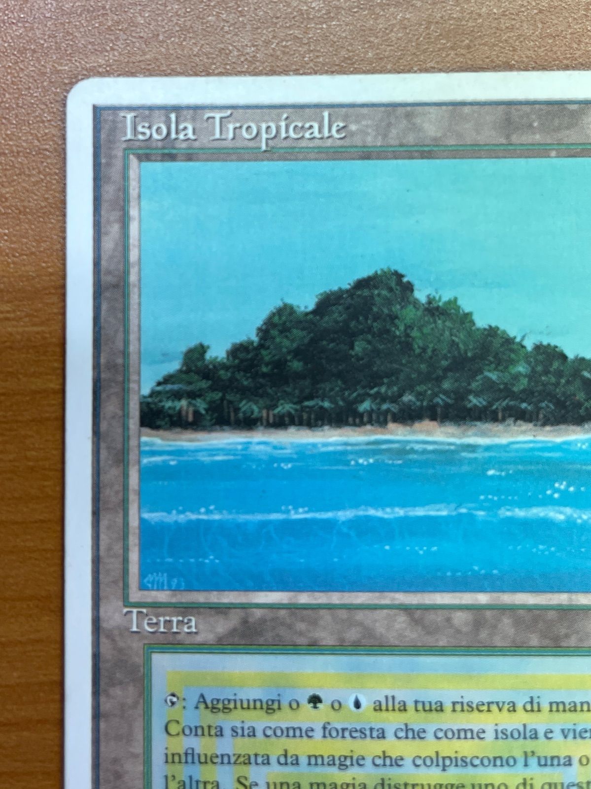 Isola Tropicale 　イタリア語　トロピカルアイランド　mtg Isola Tropicale (Tropical Island) · Revised Edition (3ED