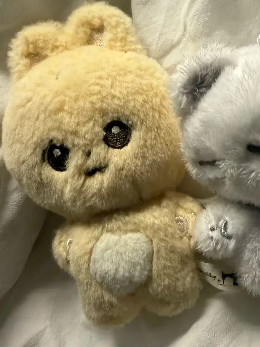 SEVENTEEN セブチ ジョンハン ぬいぐるみ メロユン 10cm seventeen セブチ ジョンハン ぬいぐるみ 20cm レア マスター