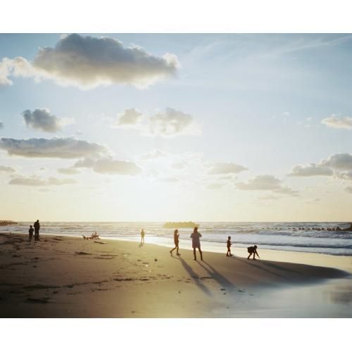  コダック プロフェッショナルポートラ 400 135 撮り 5本入 その他 フィルム