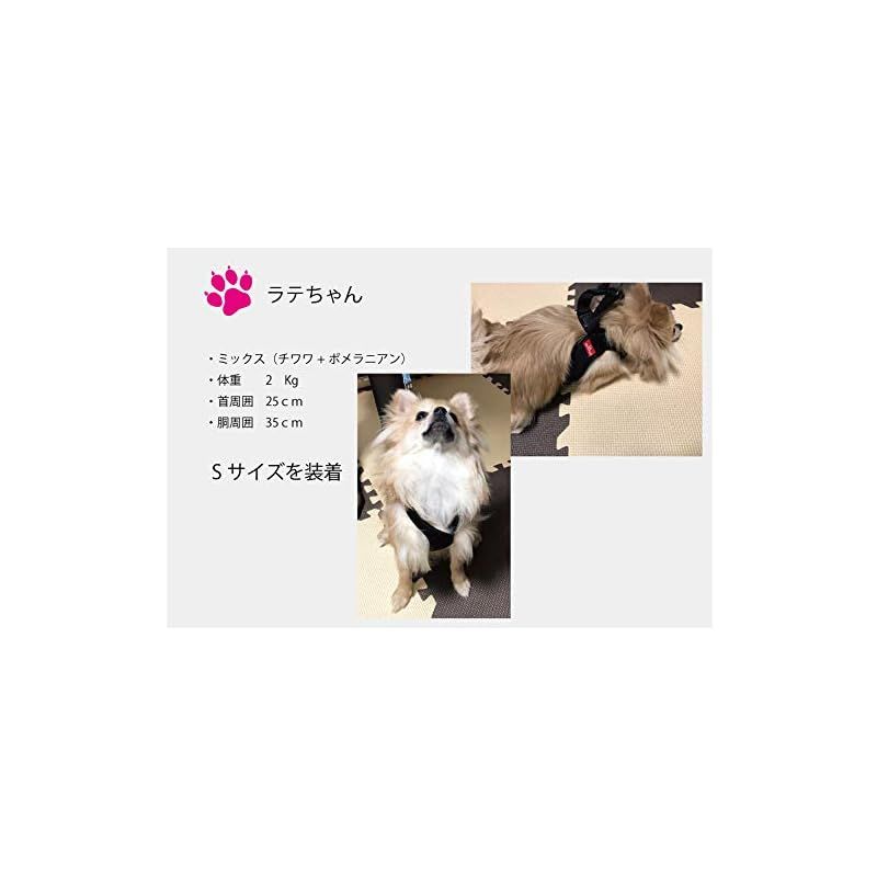Mサイズ 犬