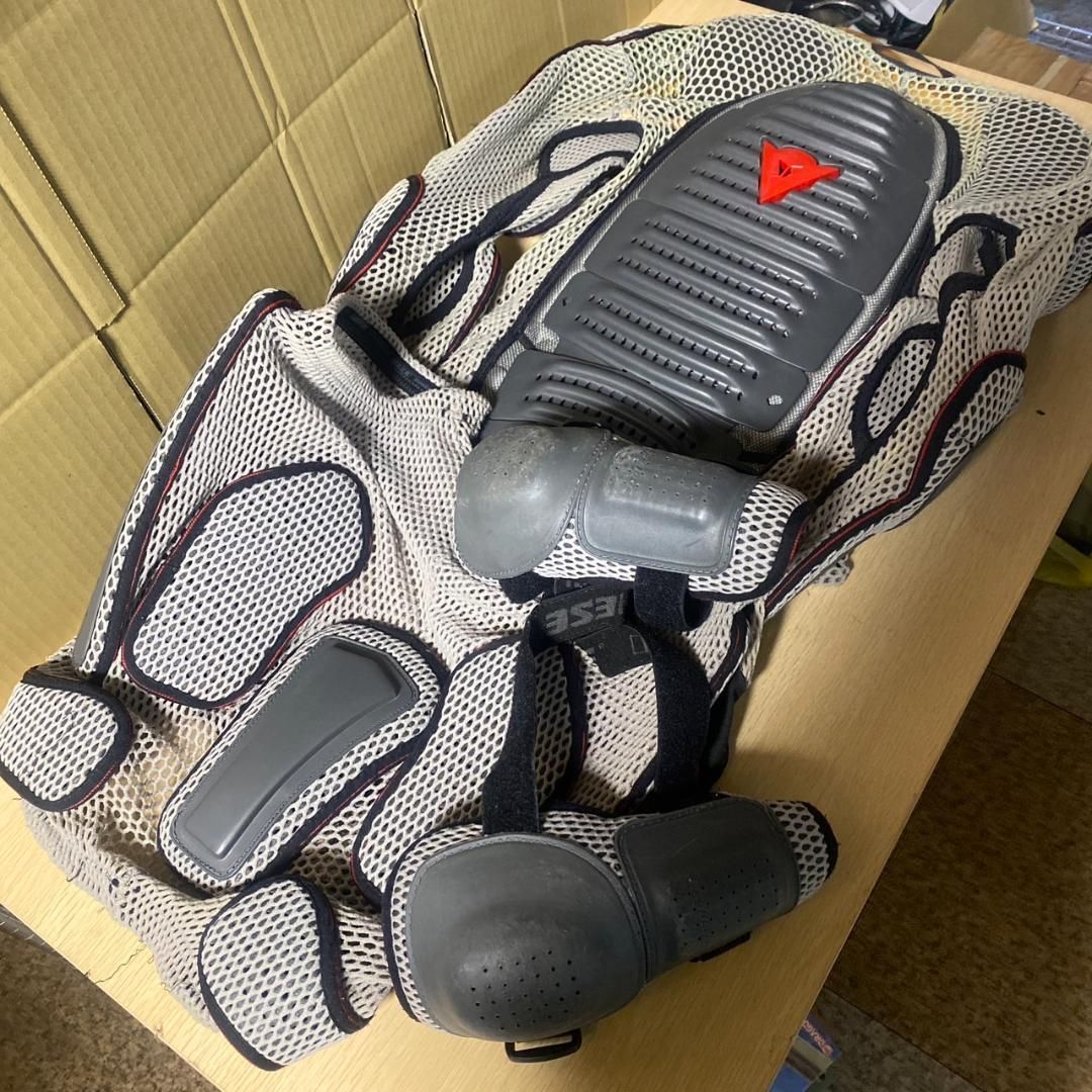 dainese タイネーゼ バックプロテクター スノーボード バイク