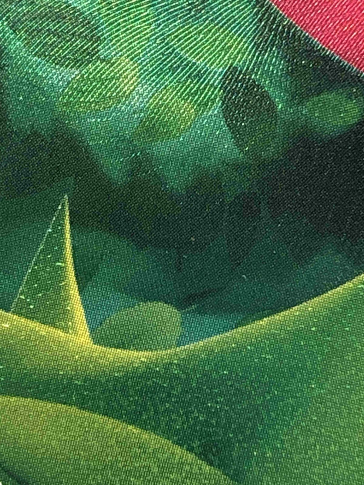 ビリジオン SR BW2 レッドコレクション 067/066 ビリジオン SR BW2 067/066 1ED