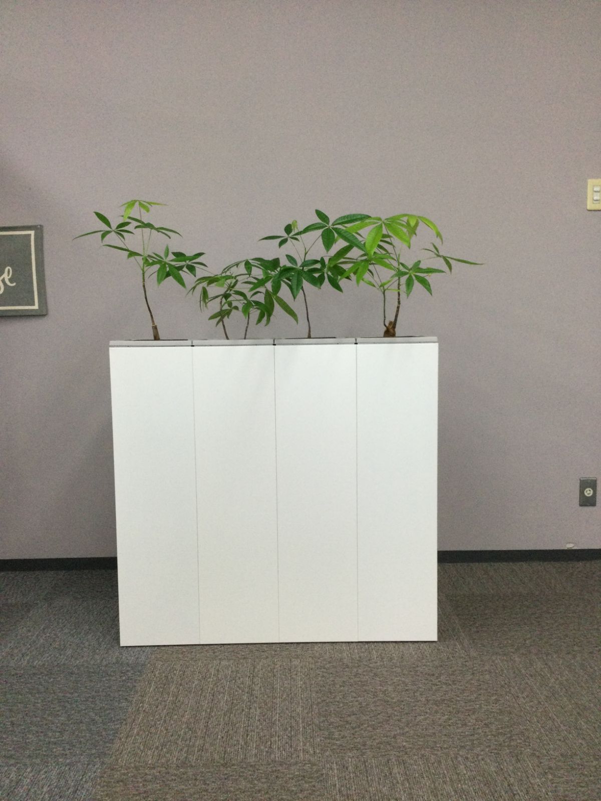 基本引取 複数在庫あり オフィス家具の では プランターBOX フラワーボックス W 1000ｘＤ250ｘＨ965