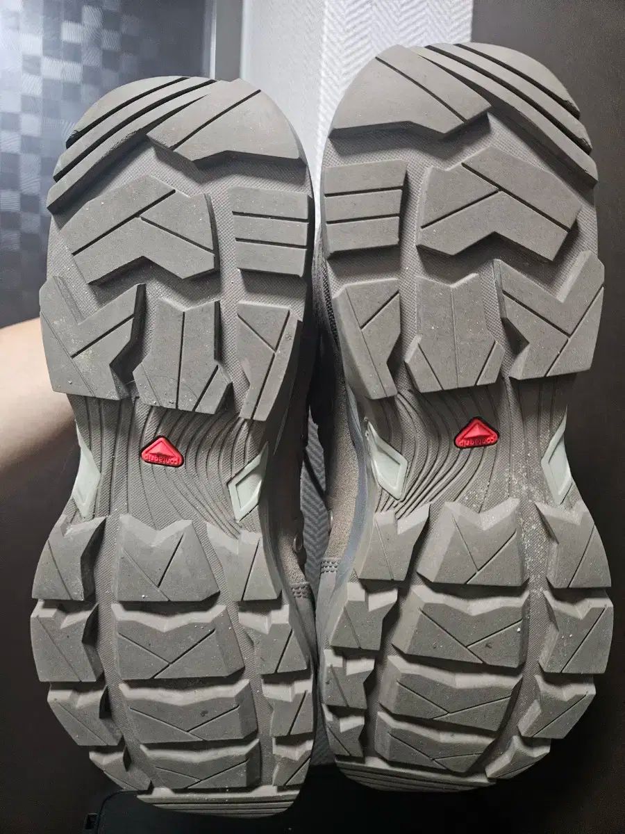 サロモン ジャングル