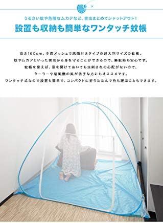 幅250cm×高さ160cm