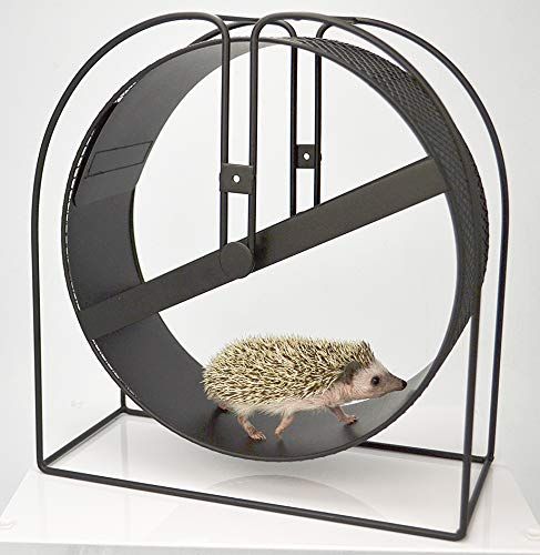 ホイールベルト32