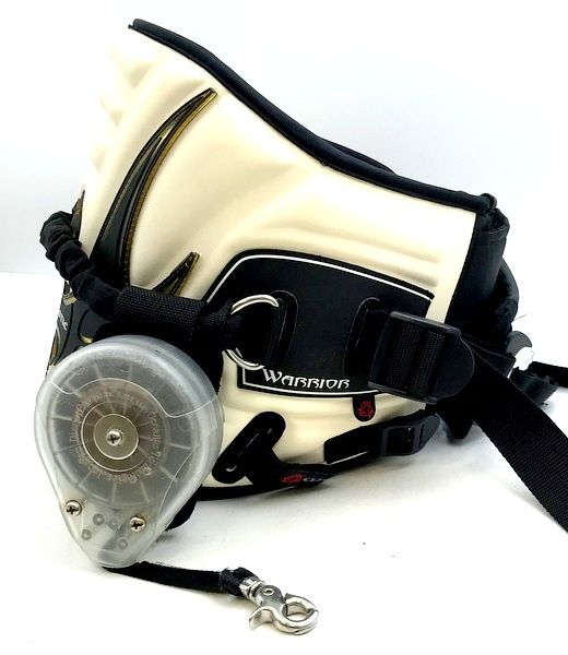 ミスティック ウォリアー