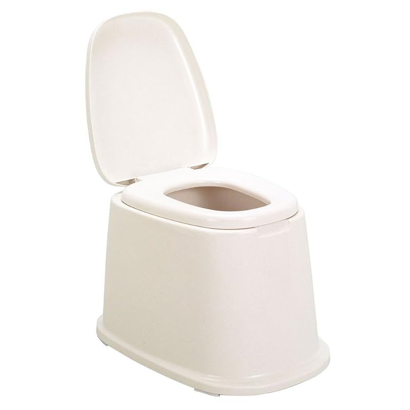 トンボ 洋式便座 据置型 介護 和式トイレ用 段差なし 日本製 ベージュ 新輝合成
