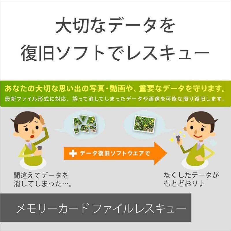 SONY SDXC