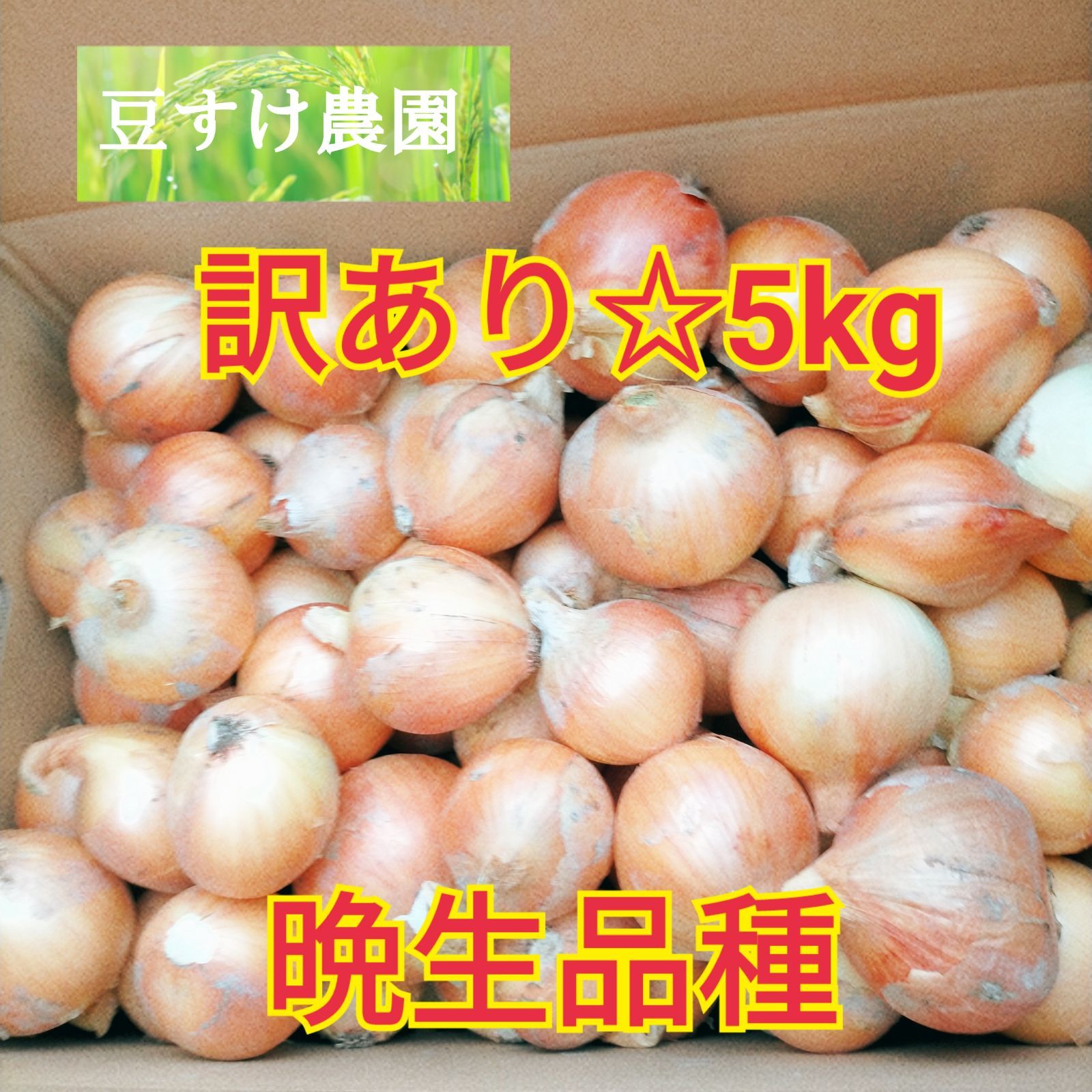 メルカリShops - 佐賀県産 晩生品種 玉ねぎ 訳あり 5kg 小さめサイズ多め