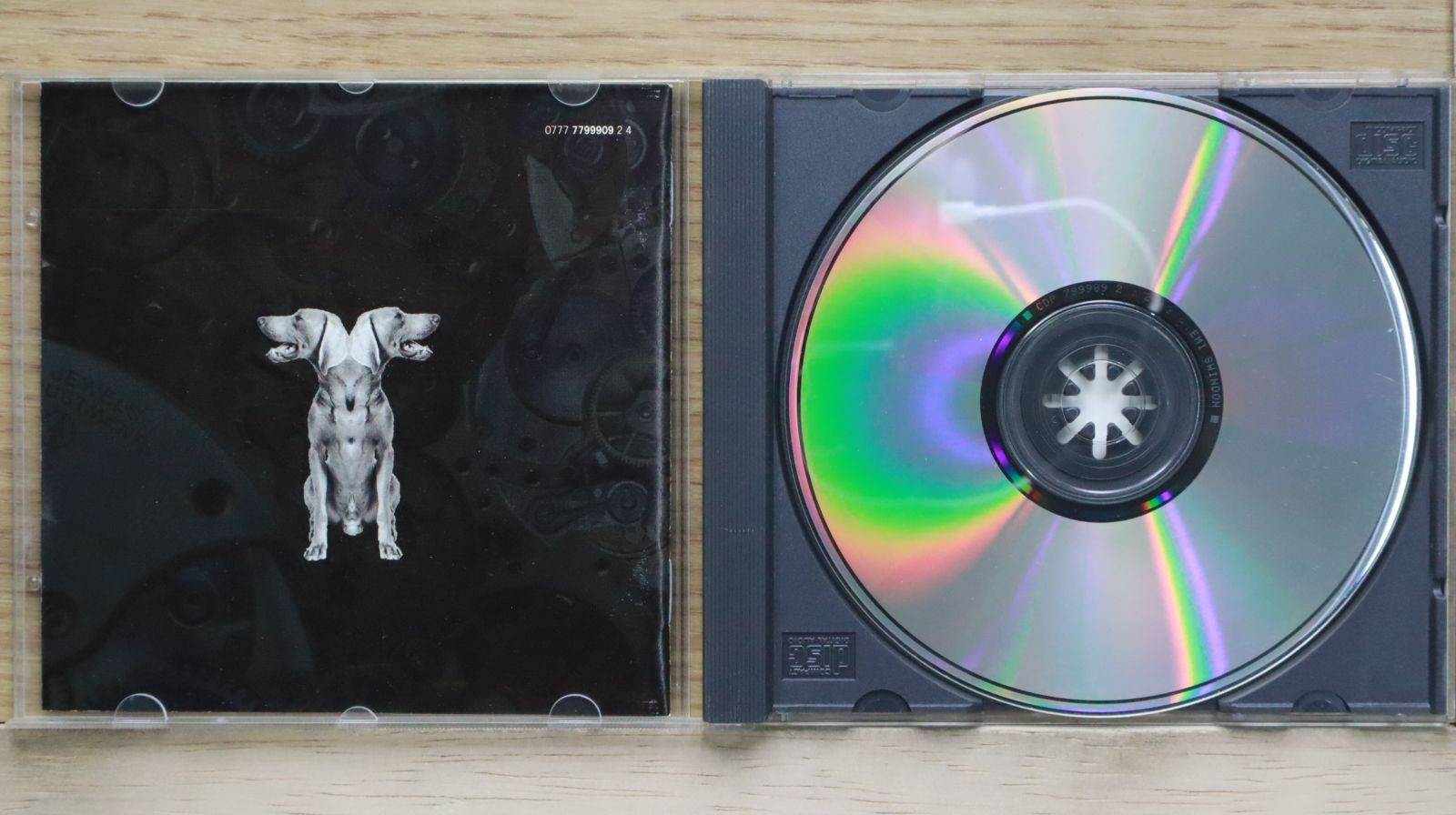 中古CD☆カミナリ/THUNDER□ Laughing on Judgement Day