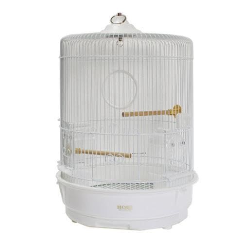 R 440 LL P ホーエイ 底面ホワイト