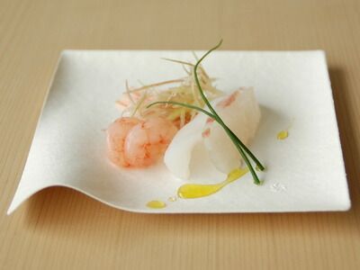 WASARA ワサラ 角皿 中 入 紙皿 紙の皿 紙の器 使い捨て アウトドア パーティ 容器 オシャレ