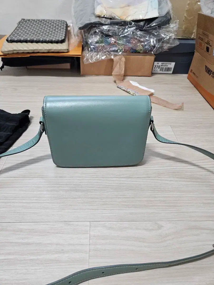 セリーヌ ティントゥリオンフ