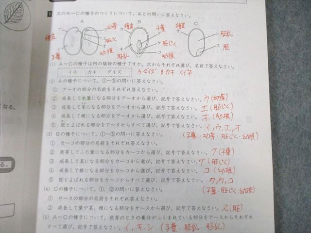浜学園　小5 サイエンス　理科 浜学園 小5 サイエンス理科 第1～3分冊 通年セット 2018 計3冊