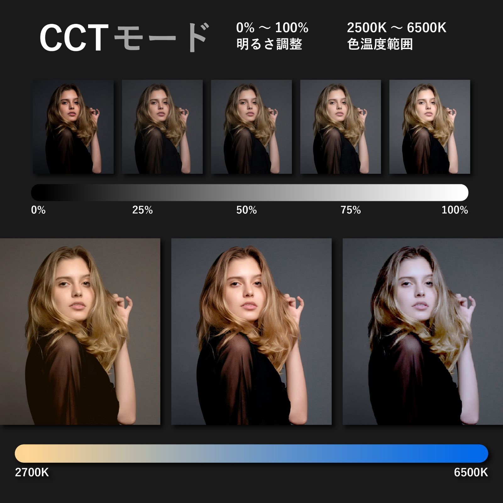  アウトレット品 TOKIWA STYLE VLA-40 WS LEDビデオライト その他 カメラ