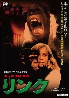 Amazon.co.jp: パニック・マーケット DVD : ゼイヴィア