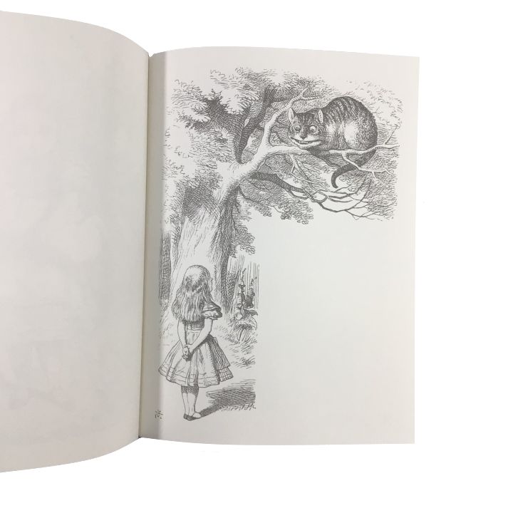 不思議の国のアリス　版画　鏡の国のアリス A371 不思議の国のアリス/鏡の国のアリス ～塗り絵～ 改訂版 2冊