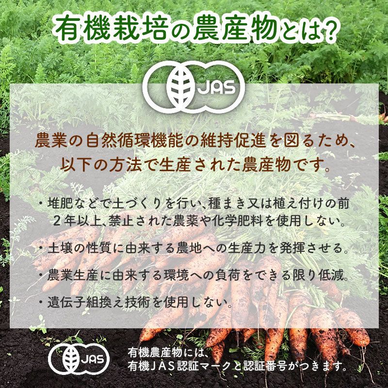 1月発送 原田さんの有機人参 MLサイズ 20kg 1本100～500g 宮崎県産 洗い 有機栽培 有機JAS認証 にんじん ニンジン 国産 産地直送 常温便