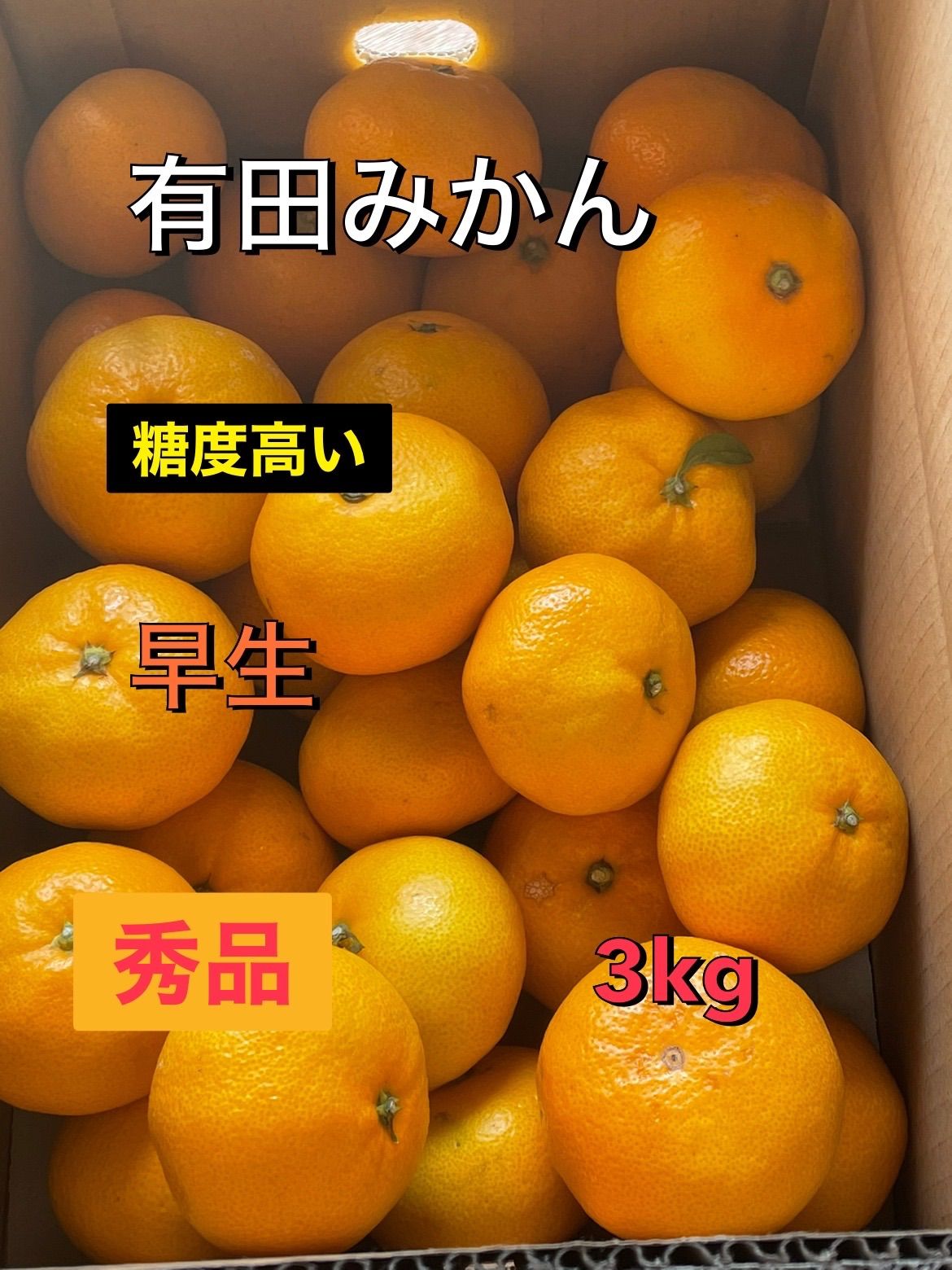 限定特価 有田のでこぽん 3kg トロトロで甘い 和歌山 みかん 有田