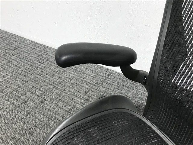 アーロン Bタイプ