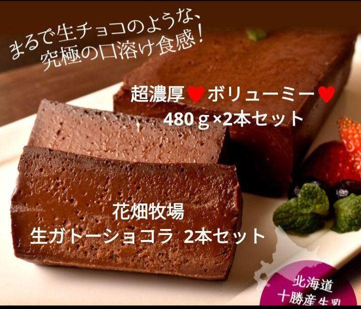 花畑牧場 濃厚生ガトーショコラ 480ｇ×2 テリーヌ チョコ ケーキ