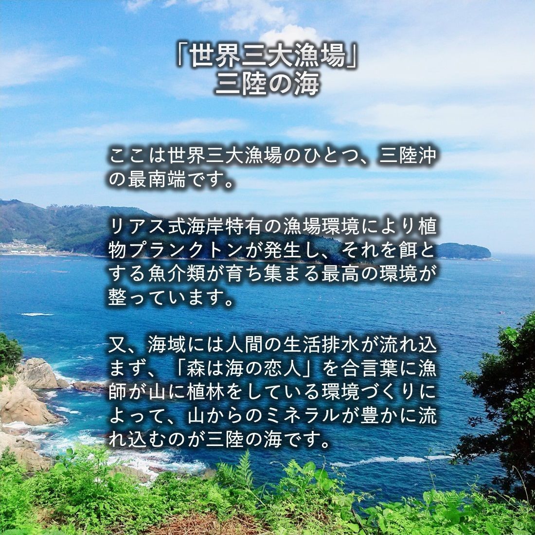 殻付き