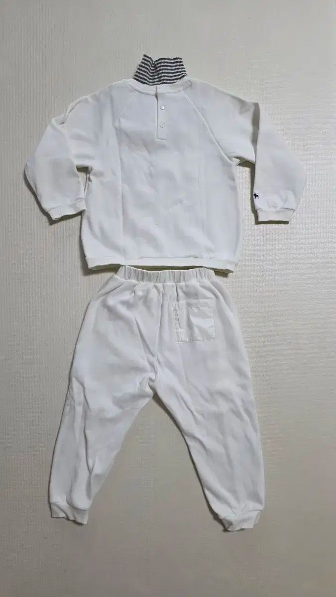 ブルードッグ ベイビー