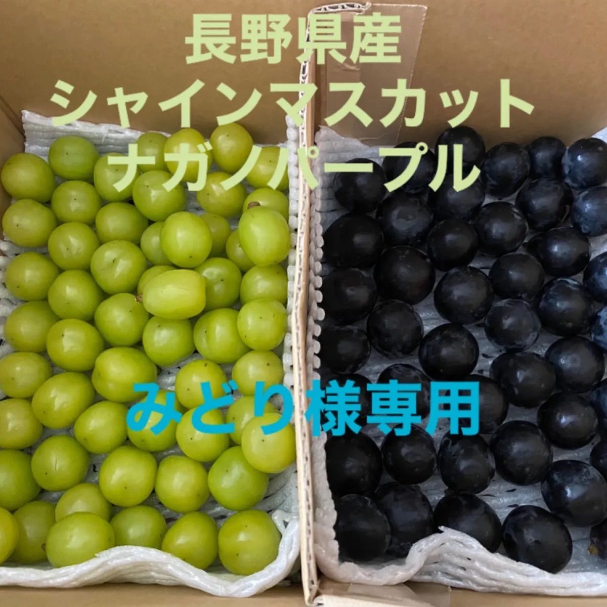 長野県産 ナガノパープル＋シャインマスカット