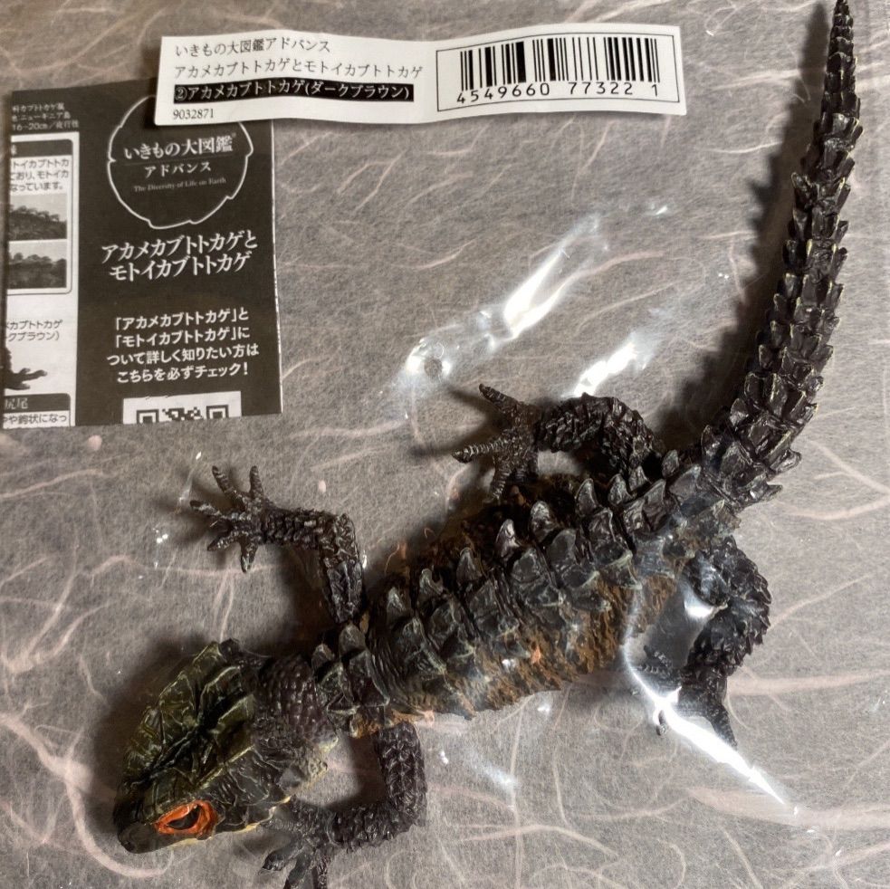 モトイカブトトカゲ　いきもの大図鑑アドバンス　諸伏景光の香水　セット　専用 モトイカブトトカゲ いきもの大図鑑アドバンス 諸伏景光の香水