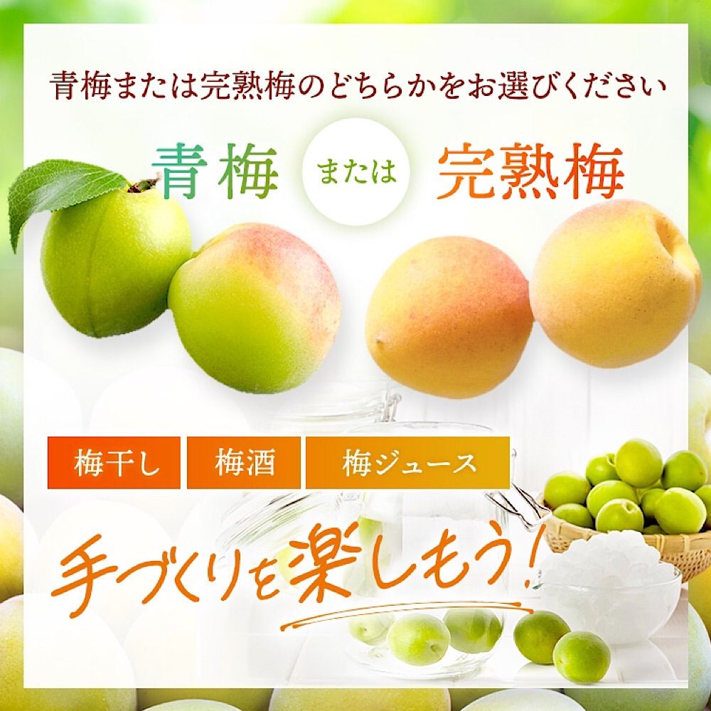 選べる 青梅-完熟梅5kg
