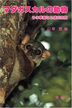 【-非常に良い】 マダガスカルの動物 その華麗なる適応放散