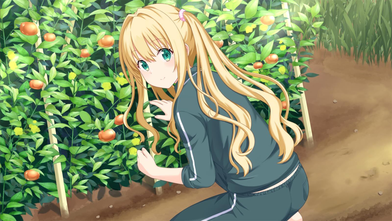なし