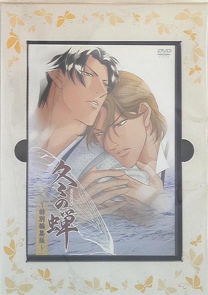 野いちご小説セット【ほぼ全巻揃っています】