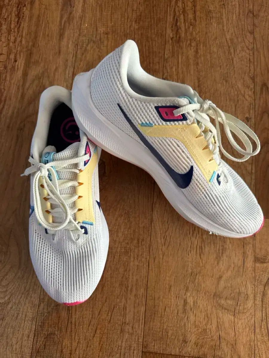NIKE ナイキ ペガサス 40 260